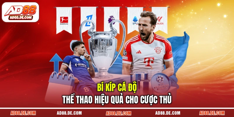 Bí kíp cá độ thể thao hiệu quả cho cược thủ