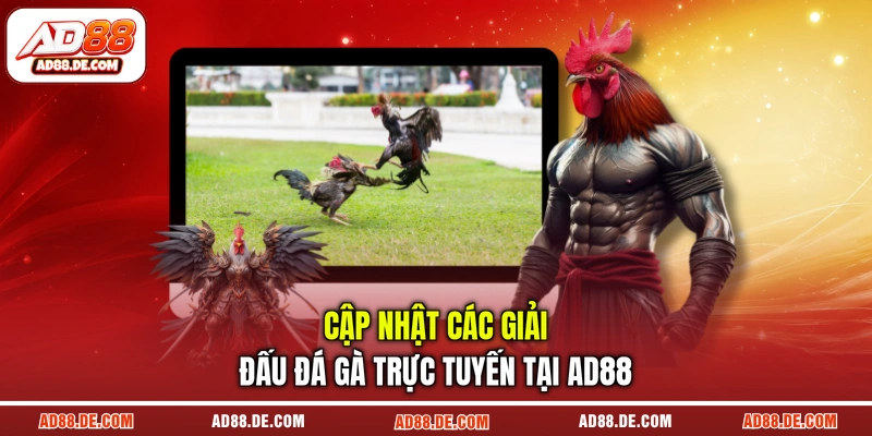 Cập nhật các giải đấu đá gà trực tuyến tại AD88