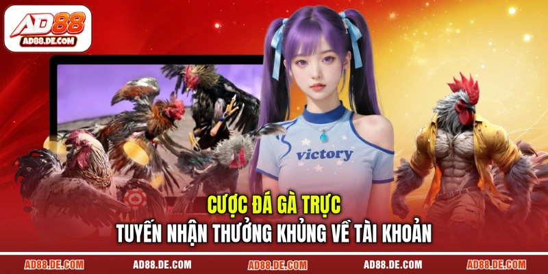Cược đá gà trực tuyến nhận thưởng khủng về tài khoản