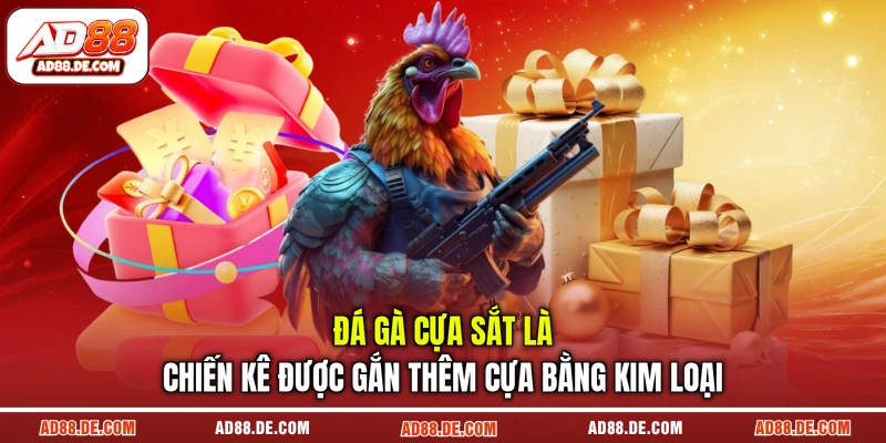 Đá gà cựa sắt là chiến kê được gắn thêm cựa bằng kim loại