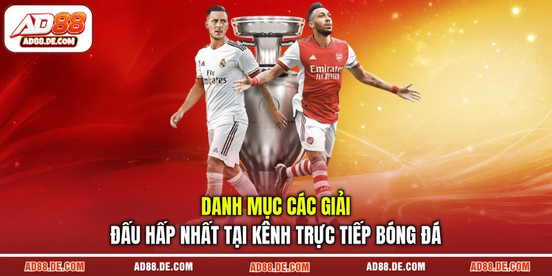 Danh mục các giải đấu hấp nhất tại kênh trực tiếp bóng đá