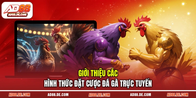 Giới thiệu các hình thức đặt cược đá gà trực tuyến
