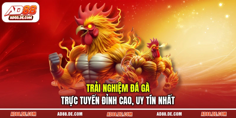 đá gà trực tuyến
